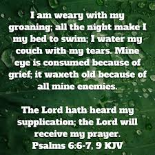pin on bible verse images