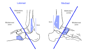Www Surgeryassistant Nl