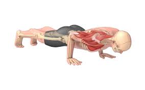 The book consists of various. 7 Beginner Yoga Exercises For Men To Increase Mobility