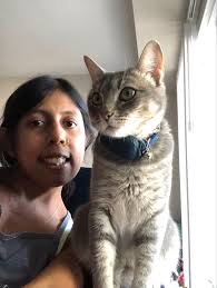 How to find a lost cat in Porterville?