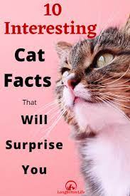 10 Fascinating Facts About Cats In 2021 Cat Facts Pet Care Cats
