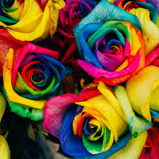 If you have your own one, just create an account on the website and upload a picture. Rainbow Flowers Wallpapers Top Free Rainbow Flowers Backgrounds Wallpaperaccess
