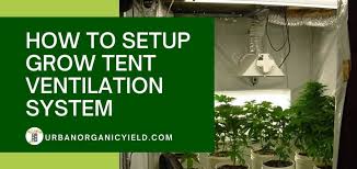 Gigagünstig ist die beste website, um grow tents zu vergleichen. Setting Up A Grow Tent Ventilation System For Proper Intake And Exhaust