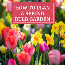Before you start planting, lay your bulbs out on the ground where you want to plant them, making any adjustments before you dig. How To Plan A Spring Bulb Garden Longfield Gardens