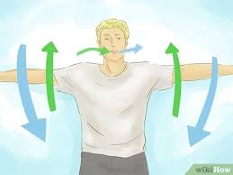 What the diaphragm is and how it functions how to sing from your diaphragm the diaphragm is an important part of the respiratory system and is located just below, and. How To Sing Using Your Diaphragm 10 Steps With Pictures