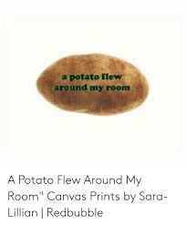 A potato flew around my room. 25 Best Memes About A Potato Flew Around My Room Meme A Potato Flew Around My Room Memes