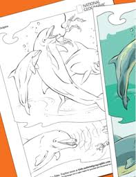 Download National Geographic Kids Coloring Book Animals Pages 1 50 Flip Pdf Download Fliphtml5