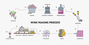 Sula Wines Making Process Wine Production Process
