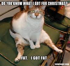 Ahahahahaha Funny Animals Funny Cat Pictures Funny Pictures