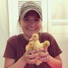 Conscious Discipline Commitment Cards by Lauren Duck