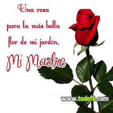 Para Mi Madre Google Search Para Felicitar Feliz Dia De La Madre Imagenes De Amistad Bonitas