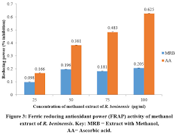 Image result for Rhaphiostylis