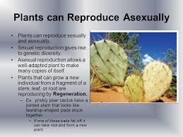 Here genetic material of one bacterial cell goes into another bacterial cell by some unknown mechanism and it converts one type. Plant Life Cycles Alternate Plants Produce Gametes But Their Life Cycle Includes A Few Extra Steps Plants Complete Their Life Cycle By Alternating Between Ppt Download