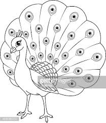 Adults are allowed to color everything, in this case, is the peacock coloring pages. Peacock Coloring Page Clipart 1 566 198 Clip Arts