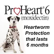 Proheart 6 Moxidectin Heartworm Heartworm Disease Animal Hospital