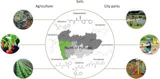 Families in developing countries use open stoves for cooking and heating their homes. Assessment Of Pyrethroid Pesticides In Topsoils In Northern Portugal Water Air Soil Pollution X Mol