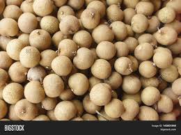 Warna kulit buah longan lebih cerah. Longan Mata Kucing On Image Photo Free Trial Bigstock