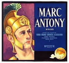 MARC ANTONY~BIBLICAL~ANTIQUE 1930s PLACENTIA CALIFORNIA ORANGE FRUIT CRATE  LABEL