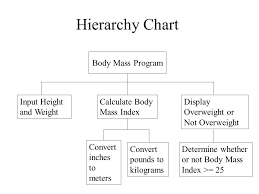 Flowchart Start Input Weight And Height Ppt Video Online