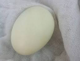 Coba obat demam alami yang terbukti efektif menurunkan panas dengan cepat. Kurangkan Demam Panas Anak Petua Telur Rebus Ini Terbukti Berkesan Semua Semua Semuanya