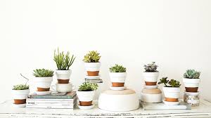 Pots en terre cuite, ciseaux, ruban de cuivre autocollant, terreau pour plantes grasses, étiquettes en cuivre, feutres indélébiles, filtres à café, billes d'argile, succulentes et autres plantes grasses. Des Pots En Terre Customises Diy Shake My Blog