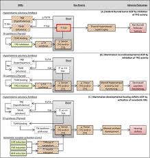 evaluating chemicals for thyroid disruption opportunities