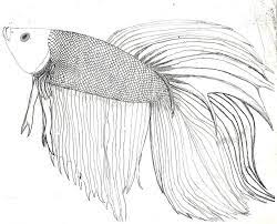 It prints at 8 1/2 x 11, which is standard letter size, in portrait orientation. Fighter Fish Colouring Pages Fish Coloring Page Animal Coloring Pages Betta Fish