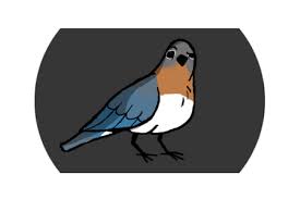 Take a look to this amazing profile picture by yourself by scrolling below. 10 Best Discord Bots List 2021 To Improve Your Discord Server