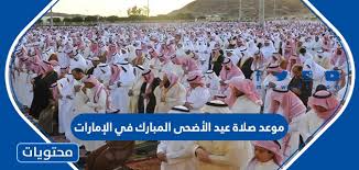 صك الأضحية من بنك الطعام المصريبنك الطعام المصري هو أول من أسس صك الأضحية في مصر منذ عام 2006 لتيسير عملية الأضحية علي المستحقين ليقوم بتوزيعها بشكل عادل لتصل الي مستحقيها. Aekyhiquis3zm