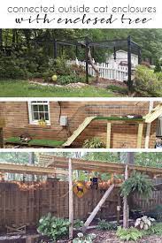 Connected Outside Cat Enclosures With An Enclosed Tree Cuckoo4design Outside Cat Enclosure Diy Cat Enclosure Outdoor Cat Enclosure