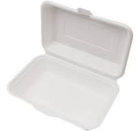 Eco-friendly Bio Sugarcane Bagasse Takeaway 9x6 Food Container
