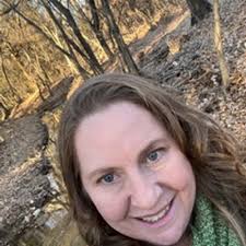 1950 Edition Cabin in the Pines by Beryl Goodwin Tower