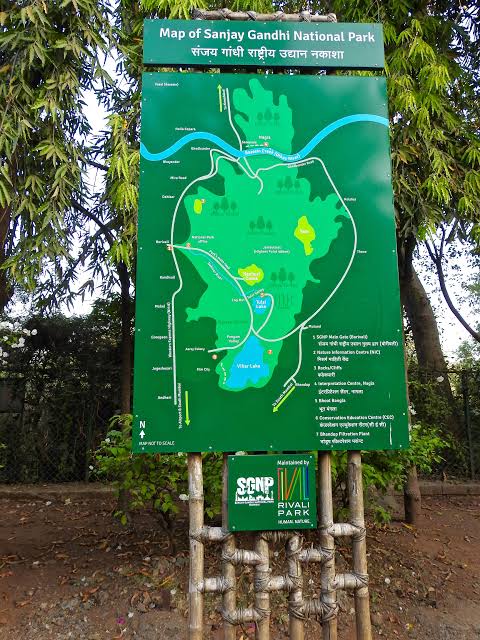 An oasis in Mumbai's concrete jungle – the Sanjay Gandhi Nat'l Park | No Roads Barred