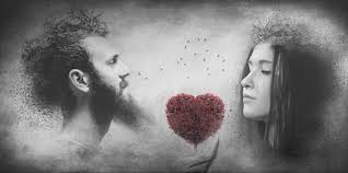 两女一杯，探索女性力量与艺术的独特魅力_电视剧评_影视回响