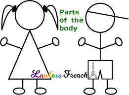 That dress really shows off your lovely waist. Parts Of The Body Le Corps Lawless French Vocabulary