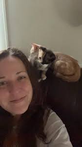 How to litter box train a 6 week old cat?