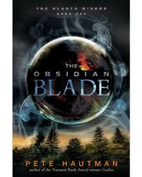 Image result for Obsidian 2012 HS