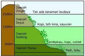 Pembagian Iklim Menurut Junghuhn Koppen Schmidt Ferguson Dan Oldman Halaman All Kompas Com
