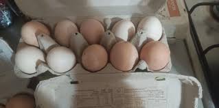 Świeże Wiejskie jajka Pławidło • OLX.pl