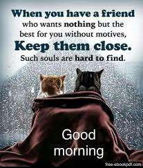 Good Morning My Beautiful Wife In 2020 Good Morning Friends Quotes Morning Quotes For Friends Happy Morning Quotes