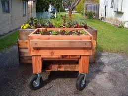 Image result for health benefits of longevity spinach