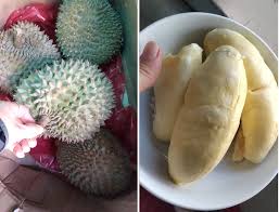 Không nhúng thuốc, không thuốc trừ sâu,không chất kích thích. Xuáº¥t Kháº©u Giáº£m Gáº§n 90 Sáº§u Rieng Tá»« Xa Xá»‰ Thanh Binh Dan Bao NgÆ°á»i Lao Ä'á»™ng