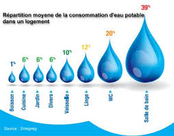 Epingle Sur Canohes