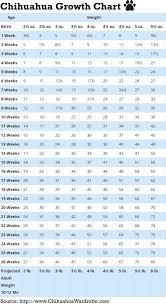 43 Curious Weght Chart