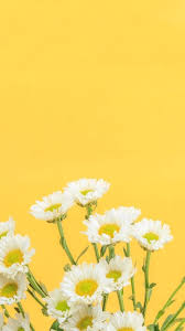 See more ideas about yellow aesthetic, photo wall collage, yellow aesthetic pastel. Yellow Aesthetic Wallpapers Wallpaper Cave