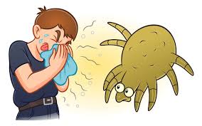 Image result for Dust mite