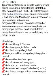 Rasa sakit rengat ini seperti senggugut atau rasa sakit kontraksi bersalin. Norhidayatiez Norhidayatiez Twitter