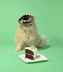 Alles gute zum geburtstag foulaa system youtube. Geburtstag Der Katze Gifs 40 Animierte Bilder Kostenlos