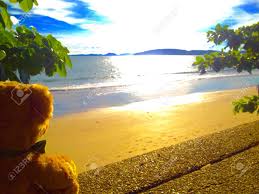 ⬇ télécharger des photos de ours polaire de la banque d'images libres de droits grand choix des photographies de haute qualité prix abordables L Ours Est Sur La Plage Et Regarde Le Coucher De Soleil A Krabi En Thailande Banque D Images Et Photos Libres De Droits Image 90306711