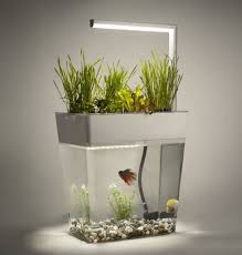 Aquagarden Premium Set Hidroponik Akuaponik Bitki